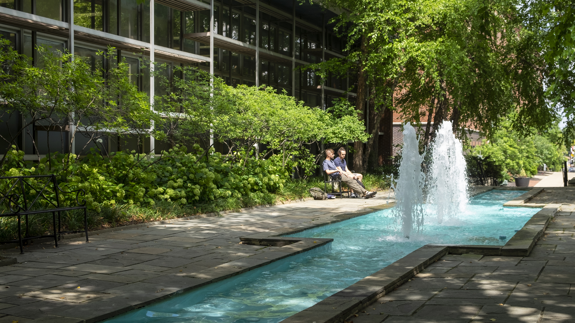 Sustainability Sustainability